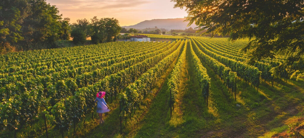 Franciacorta_uff. st. VisitBrescia