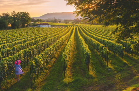 Autunno in provincia bresciana dalla Franciacorta al Garda