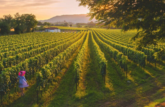 Autunno in provincia bresciana dalla Franciacorta al Garda