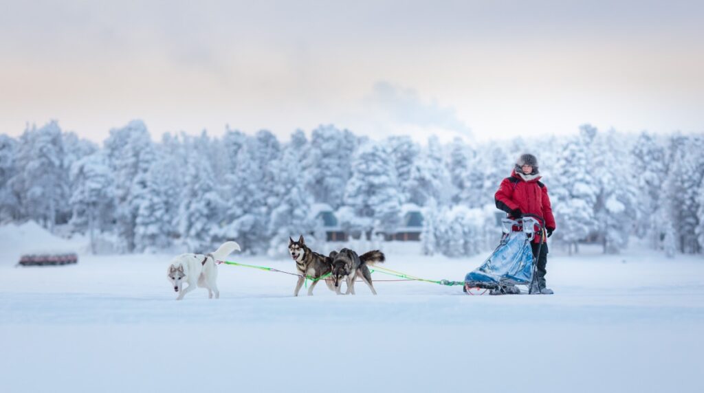 Giver_Capodanno_uff.st.