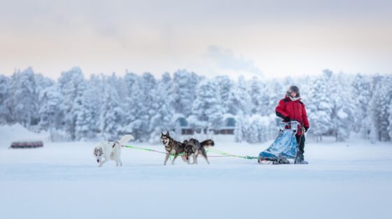 Luci e magie del Nord: Capodanno Giver a Tromsø e alle Lofoten