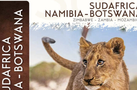 Quality Group rifà il look ai cataloghi