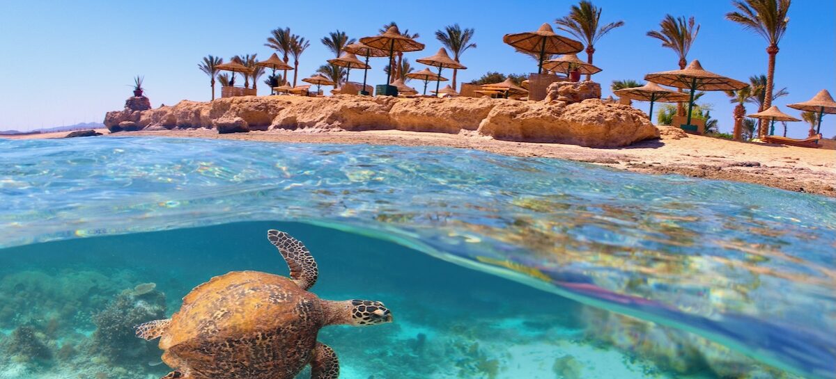 Mare d’inverno, guida alle mete “alternative”