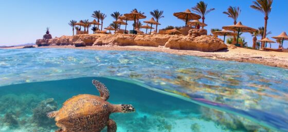 Mare d’inverno, guida alle mete “alternative”