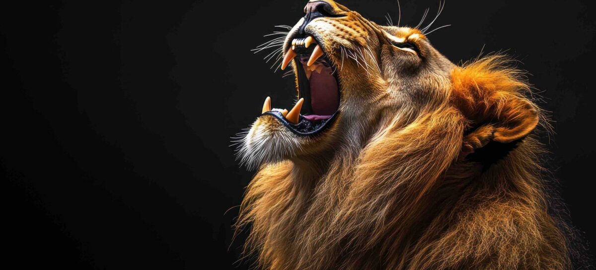 Il ruggito di flydubai:<br> maxi ordine da 225 aerei