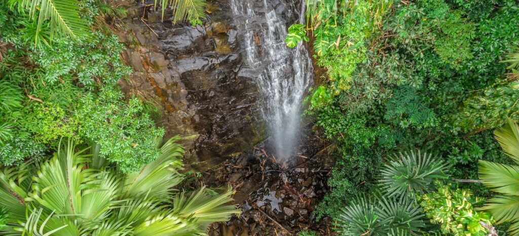 Seychelles difesa ambiente uff. stampa