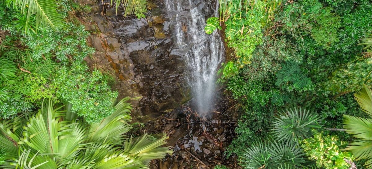 Sustainable Seychelles per la tutela del territorio africano