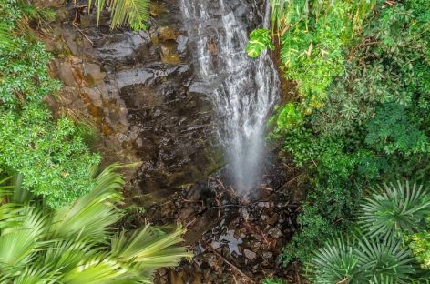 Sustainable Seychelles per la tutela del territorio africano