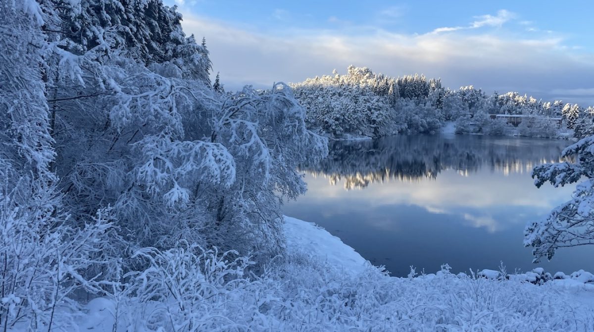 Norvegia, tra i fiordi innevati con Giver – Il Reportage