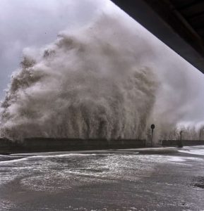 Tempesta Harry 1 credit ladv