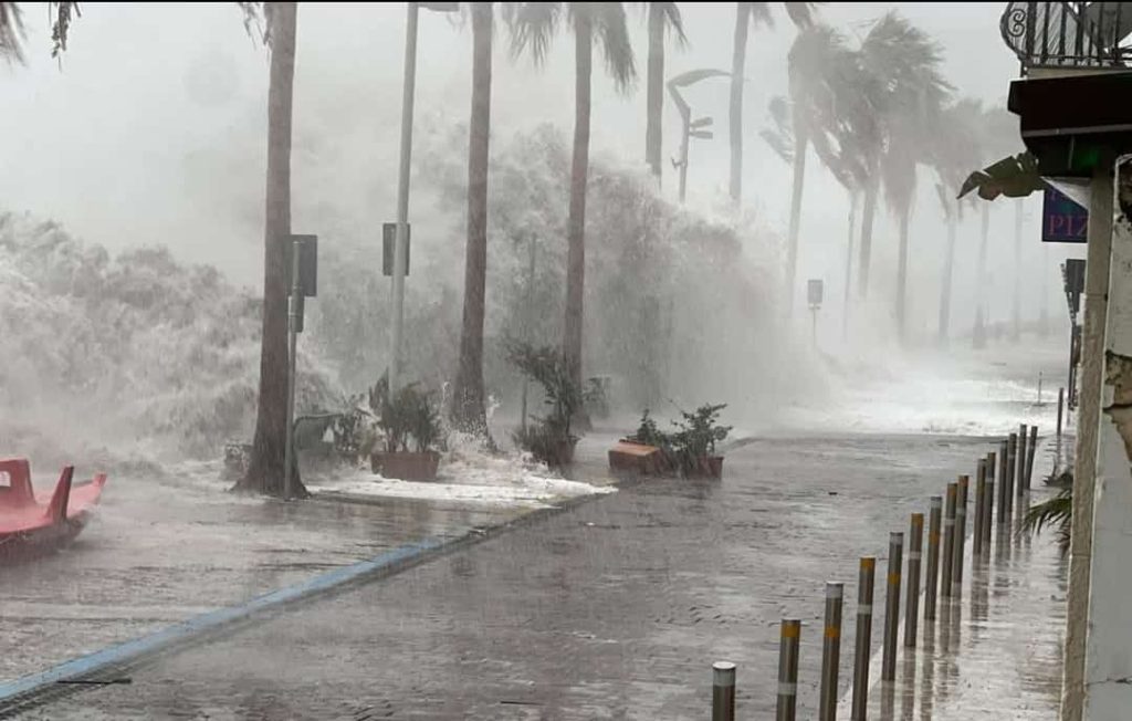 Tempesta Harry 2 credit ladv