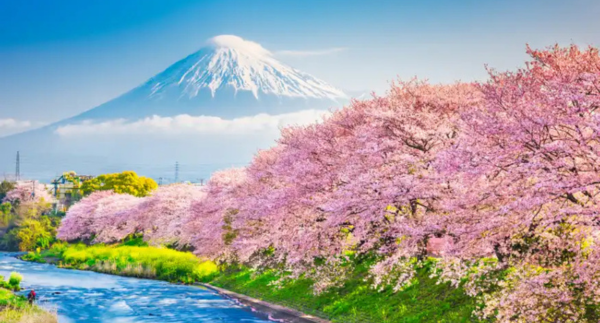 Guinness Travel da uff st