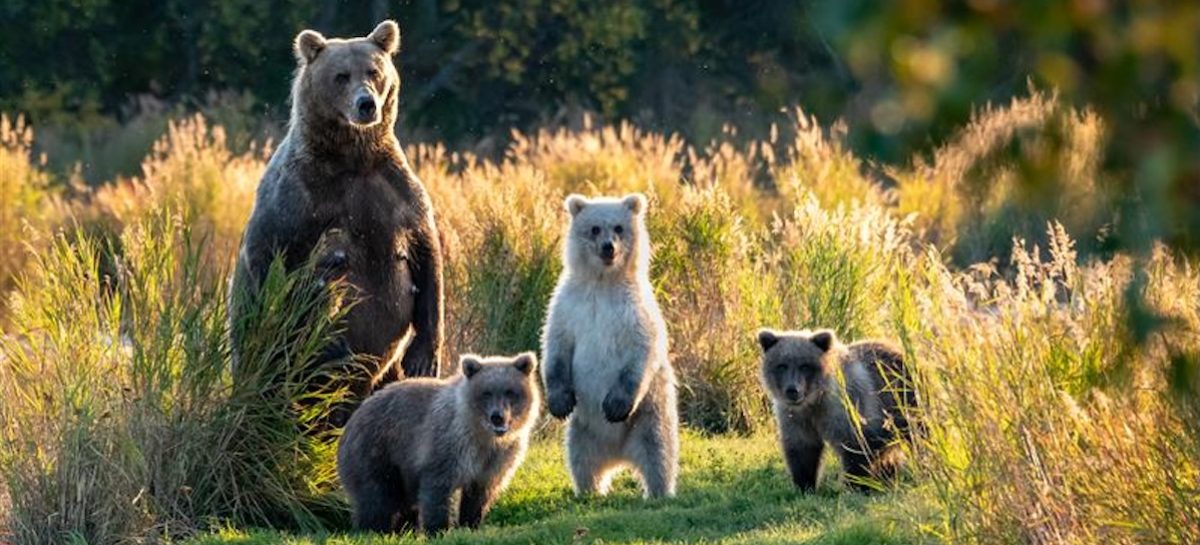 Canada e Usa Experience svelano in fiera i tour 2026