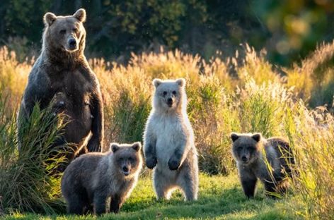 Canada e Usa Experience svelano in fiera i tour 2026