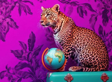 Travel a macchia di leopardo: fotografia Ipk-Itb