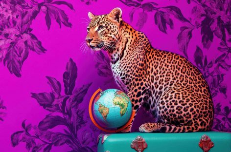 Travel a macchia di leopardo: fotografia Ipk-Itb