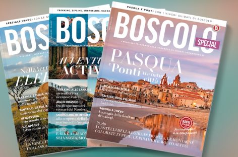 Boscolo in fiera con 22 cataloghi. C’è anche il Manuale per adv