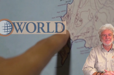 Go World rivoluziona il sito con Scortichini-avatar