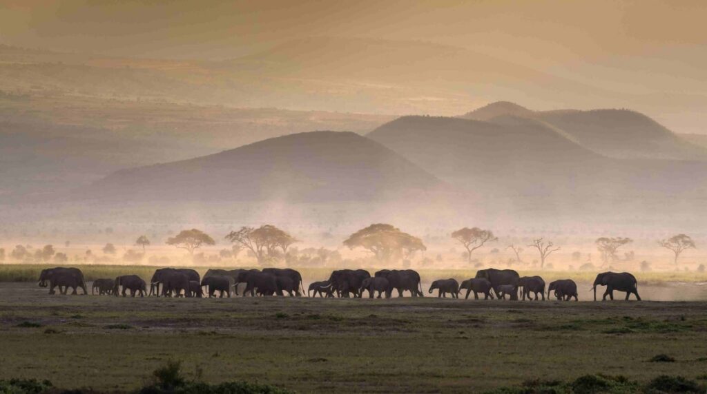 Africa_MadebyTurisanda_uff.st.