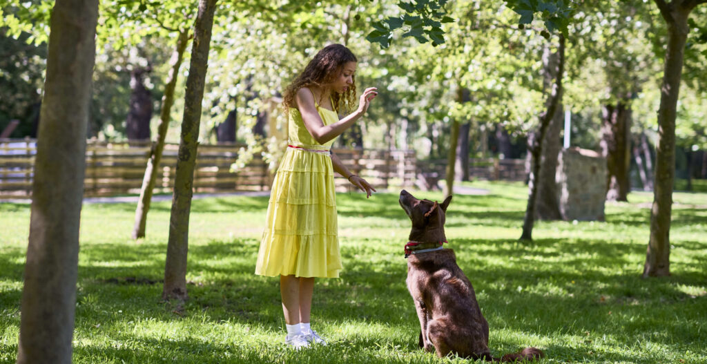 Bluserena pet friendly da uff st