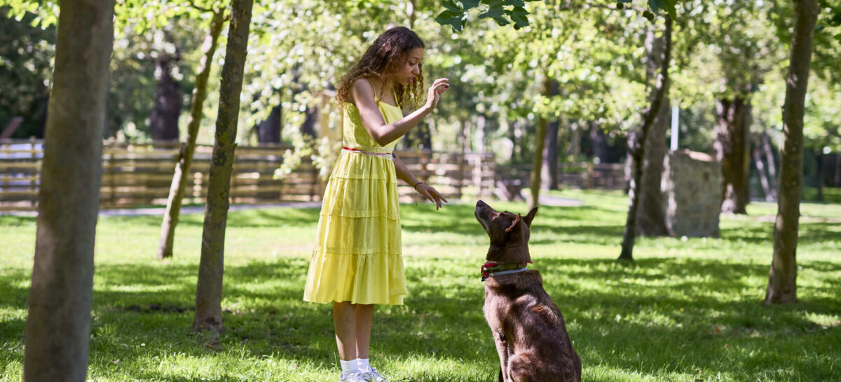 Bluserena amplia l’offerta pet friendly