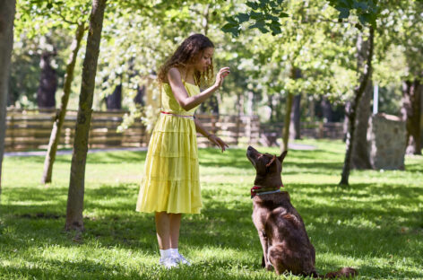 Bluserena amplia la sua offerta pet friendly