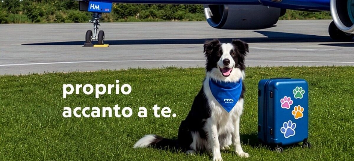 Cani a bordo: Ita lancia il servizio “Large Dog On Board”