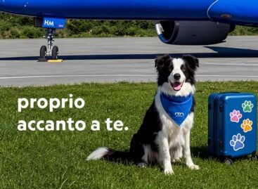 Cani a bordo: Ita lancia il servizio “Large Dog On Board”