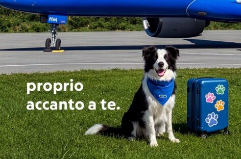 Cani a bordo: Ita lancia il servizio “Large Dog On Board”