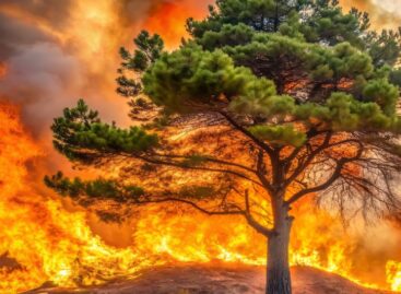 Sos incendi dal Gargano al Canada – Gli aggiornamenti
