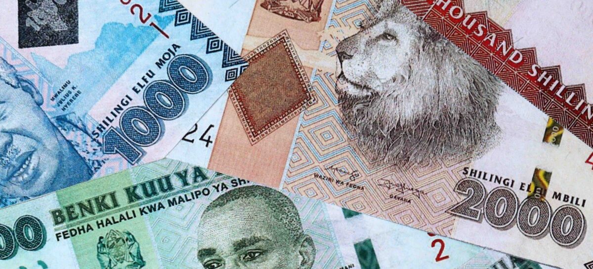 Tanzania, l’assicurazione obbligatoria per i turisti è legge