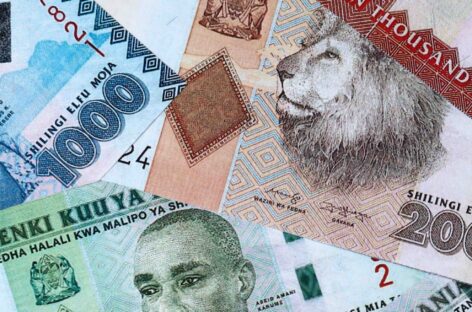 Tanzania, l’assicurazione obbligatoria per i turisti è legge