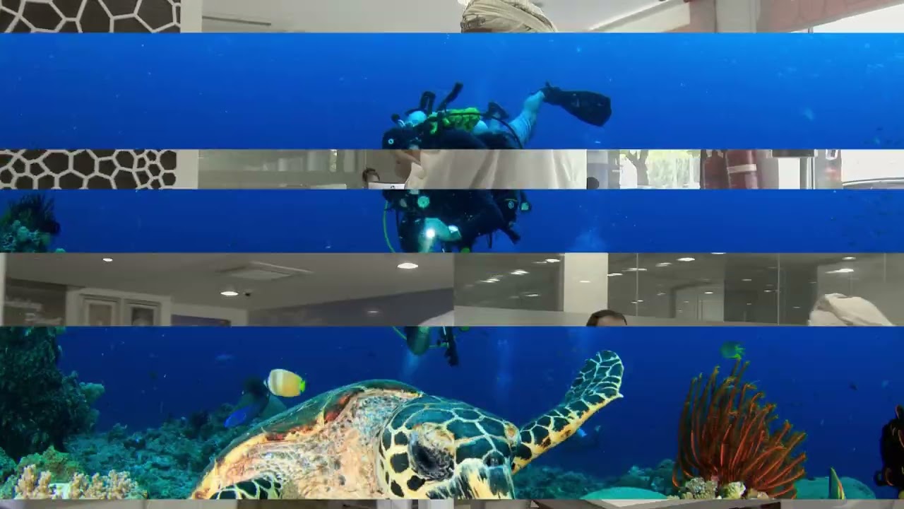 youtube placeholder image